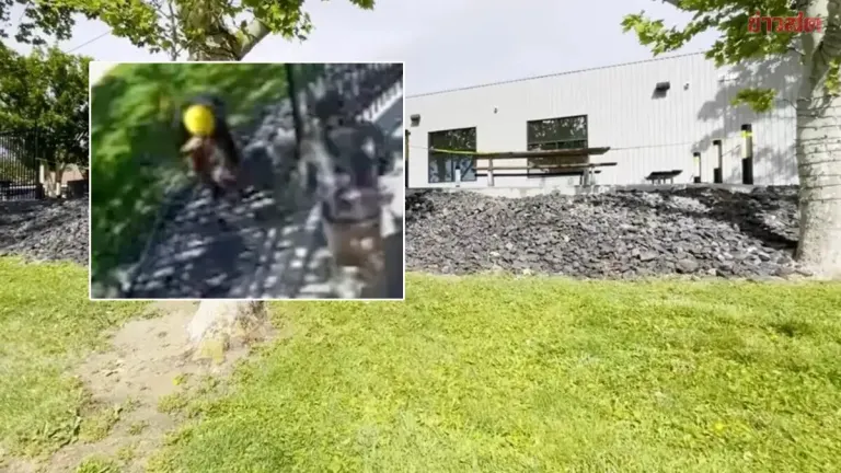 Brazen US Thieves Disguised as Workers Steal 320,000-Baht Steel Fence, Distillery Owner Left Stunned