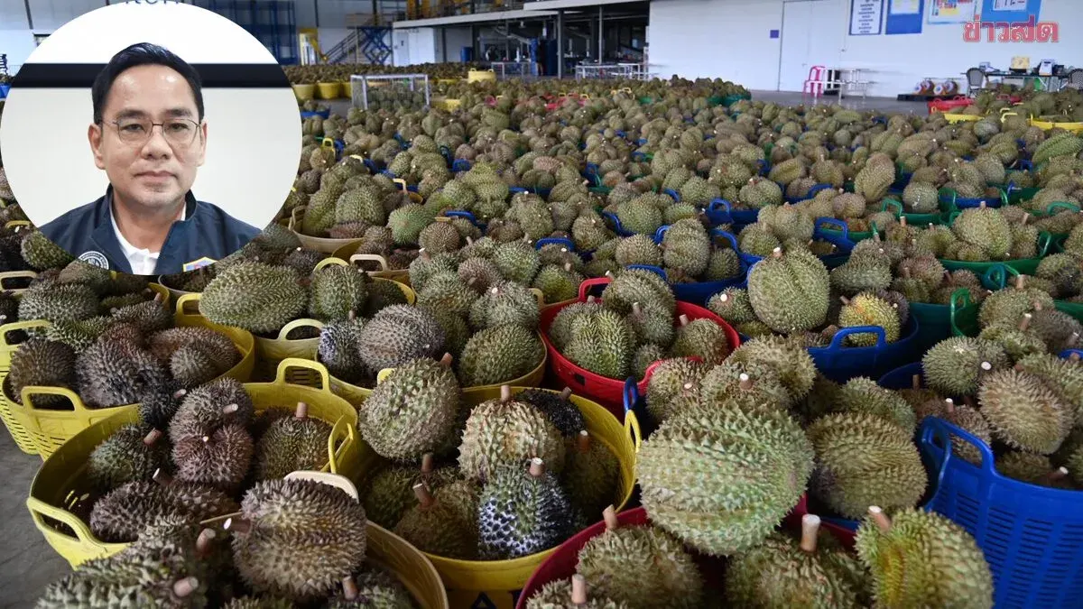 Commerce Ministry Rushes to Clear 300,000 Tons of Southern Durian