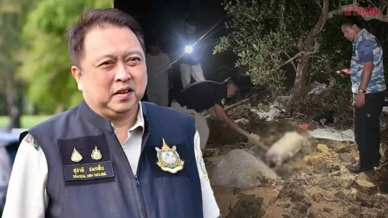 Authorities Investigate Young Dugong Found Dead in Phang Nga
