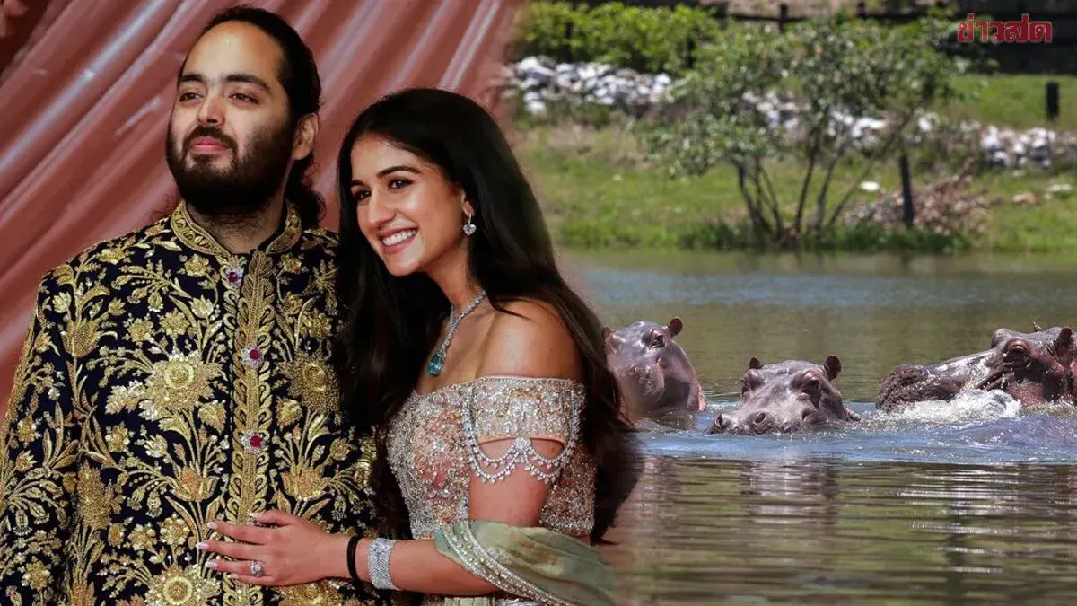 Indian Billionaire's Son Offers to Care for 80 Hippos for Life After Colombia Plans to Cull Them