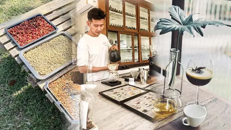 Ex-Architect Grows Specialty Coffee in Northeast Thailand