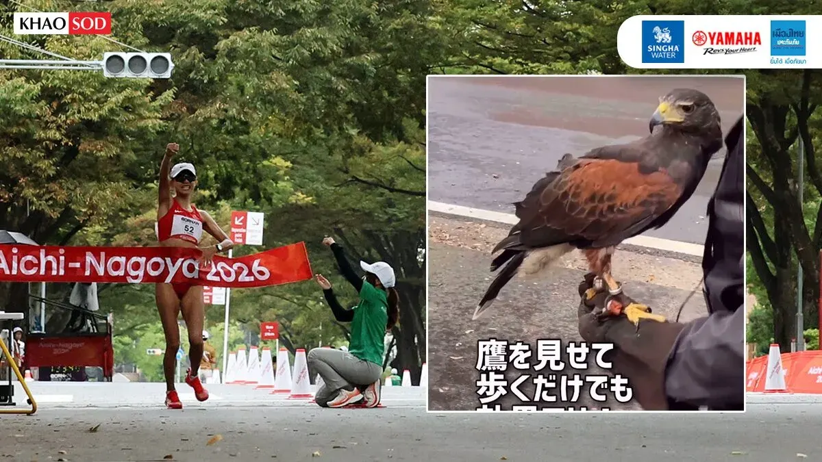 Nagoya Deploys Hawks to Chase Crows From Marathon Routes