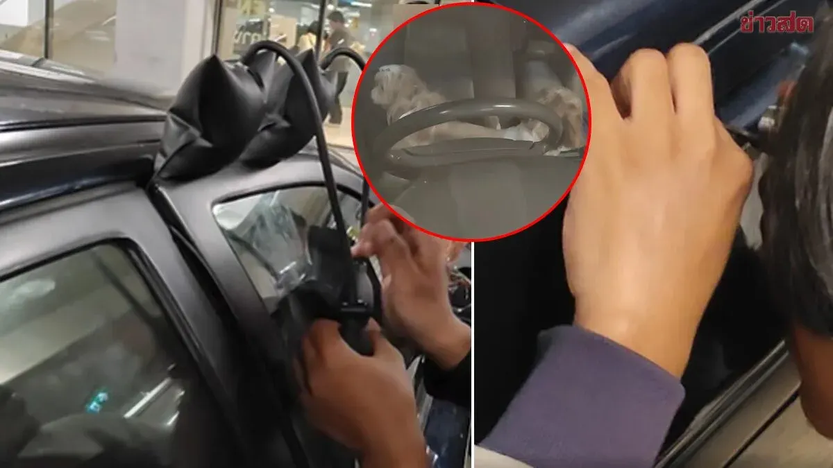 Charged 2,000 Baht for Locksmith Service That Didn't Even Work—Dogs Rescued Thanks to Owner's Quick Thinking