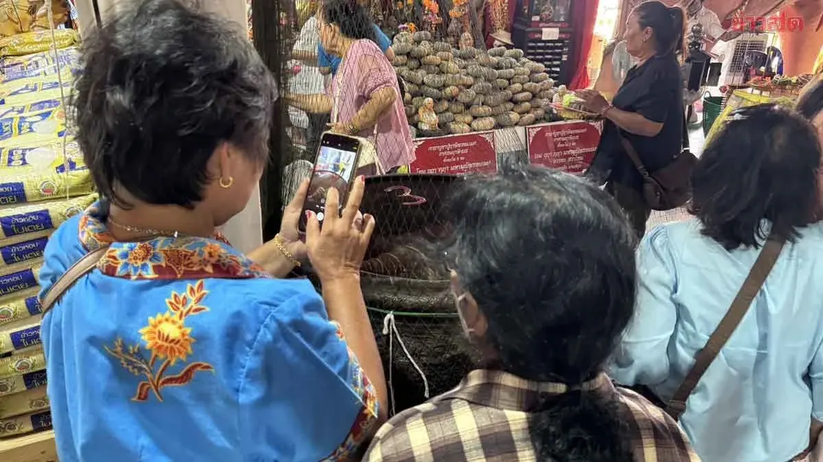 Worshippers Flock to Sacred Temple Seeking Lottery Luck
