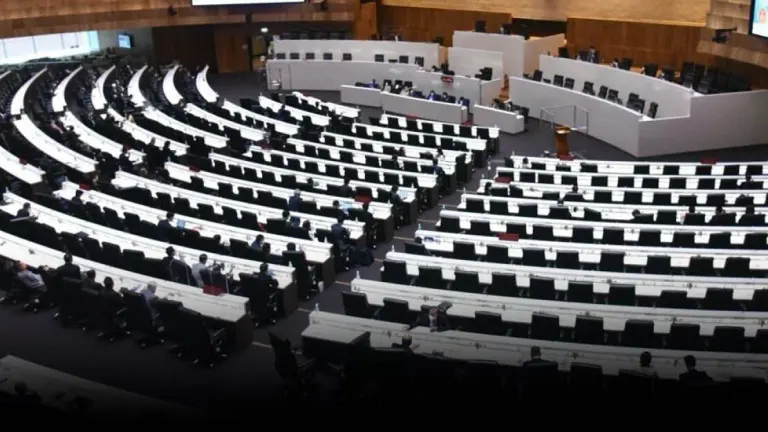 Editorial – Parliamentary Committees