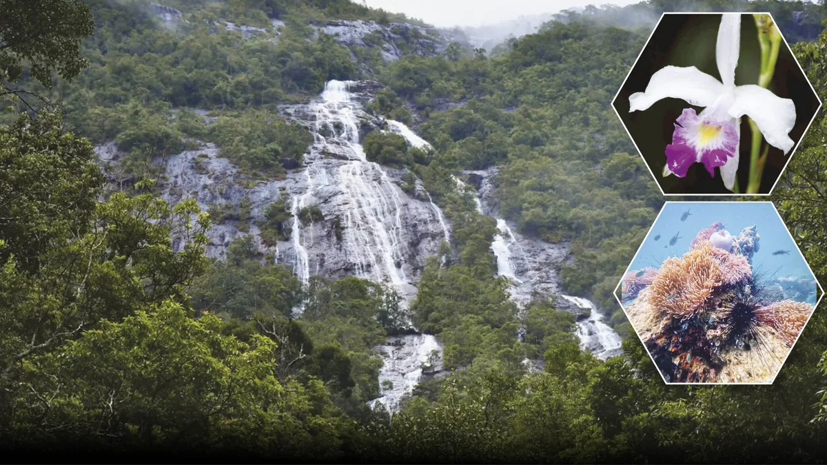 Ranong and Chumphon: Four National Parks Showcase Southern Thailand