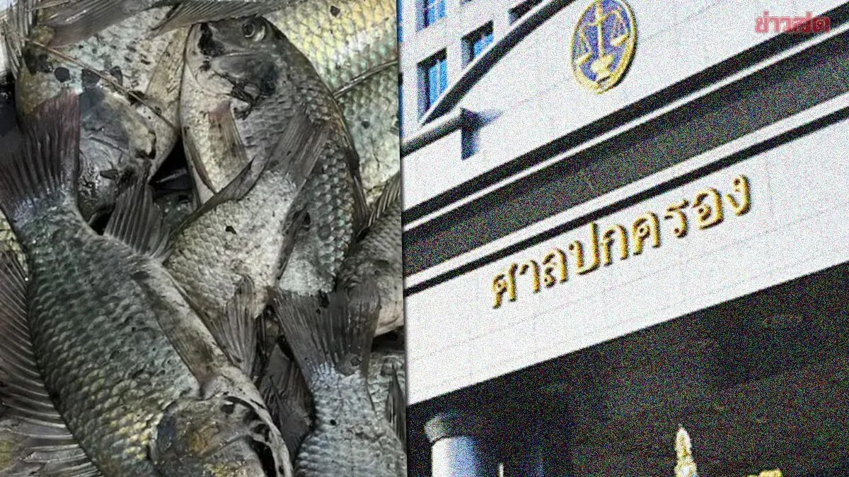 Court Orders Fisheries Department To Control Black-Chin Tilapia Outbreak