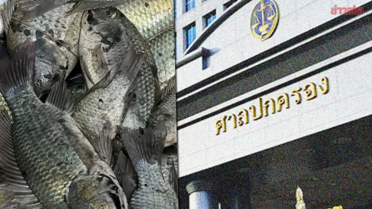 Court Orders Fisheries Department To Control Black-Chin Tilapia Outbreak