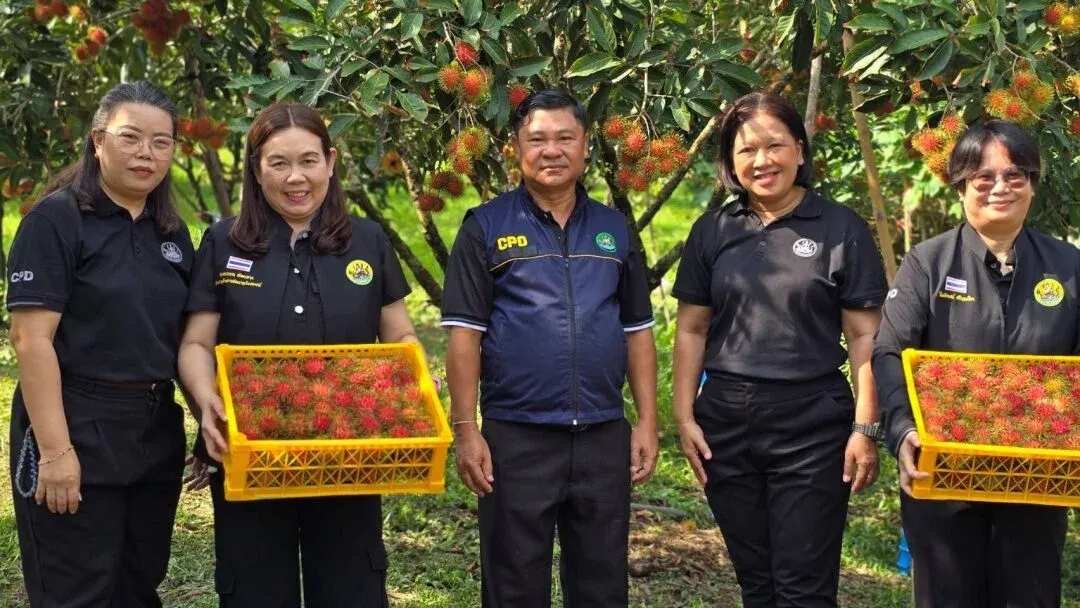 Fruit Board Approves Four Measures to Boost Thai Fruit Consumption and Combat Market Oversupply