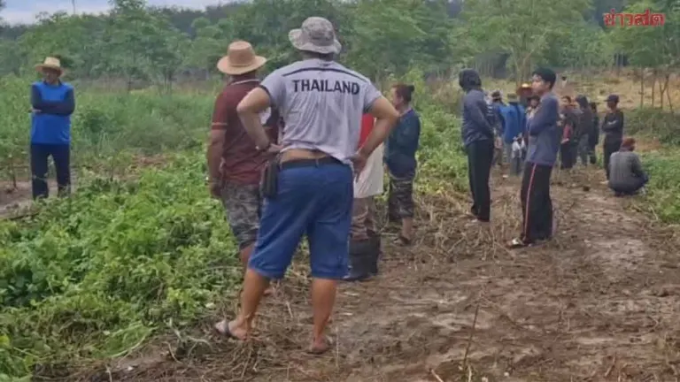 Human Remains Found in Dense Forest Near Bo Thong