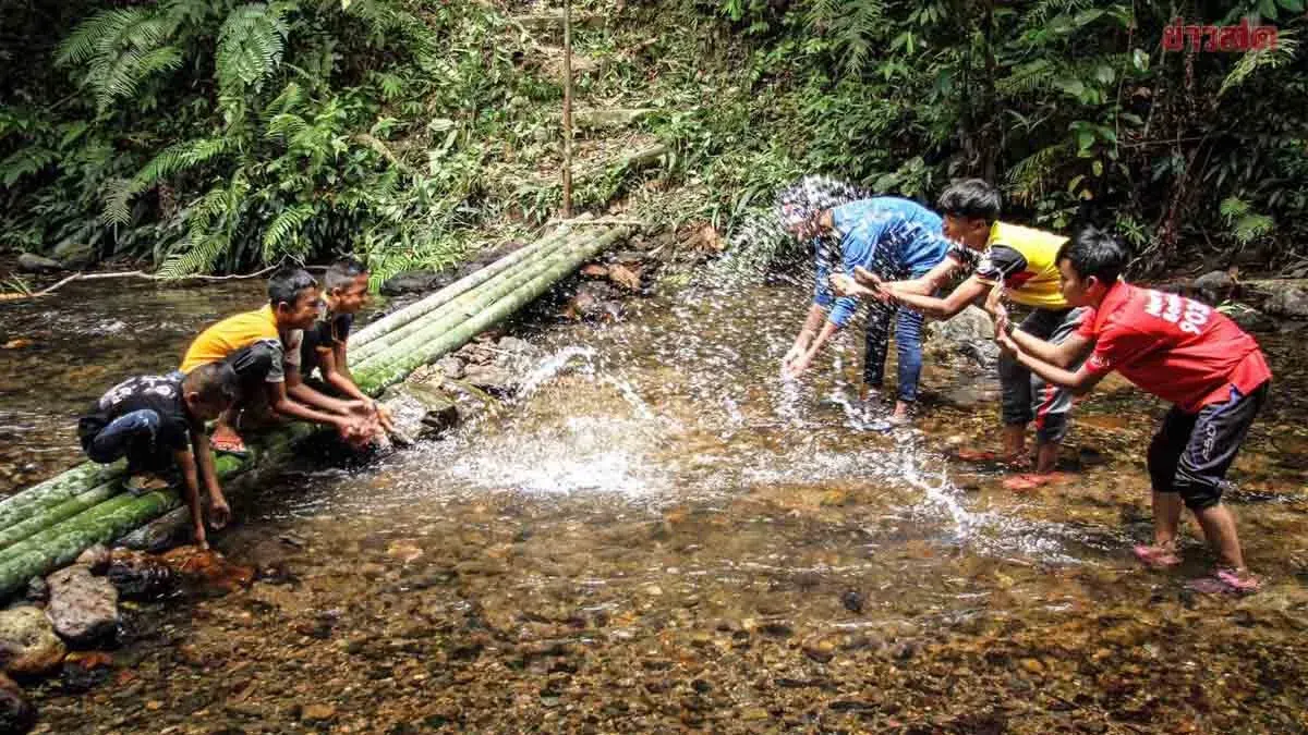 May 24 National Community Forest Day: Campaign to Raise Awareness and Conserve Forests
