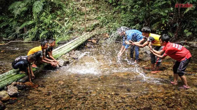 May 24 National Community Forest Day: Campaign to Raise Awareness and Conserve Forests
