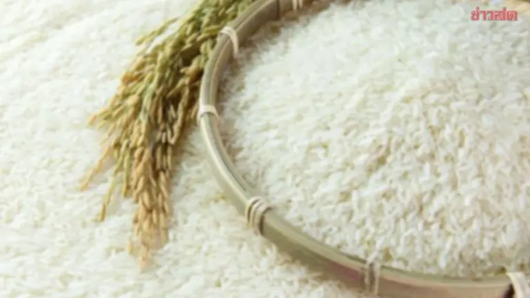 Thailand Approves Additional 220,000 Tonnes Rice Sale to China