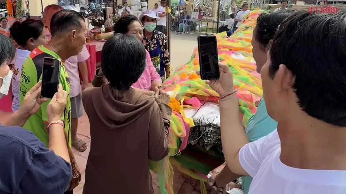 Giant Sacred Tree Draws Crowds Seeking Lucky Numbers
