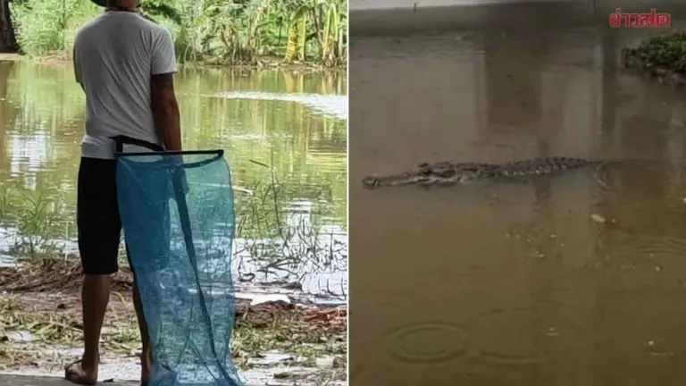Student Admits AI-Generated Crocodile Photo Sparked School Panic