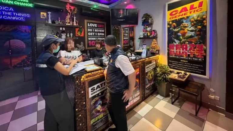 Phuket Cannabis Shops Face License Revocation