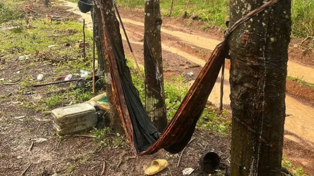 Cambodian Rubber Worker, Puppy Killed by Lightning in Trat