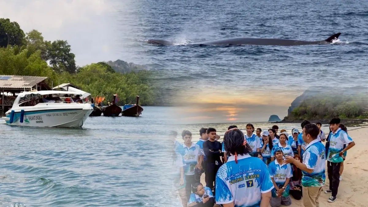 Bryde's Whale Delights Students in Andaman Sea