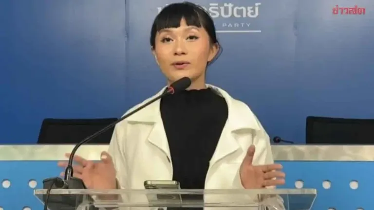 Democrat Party Urges Crackdown on Foreign Capital and Migrant Workers