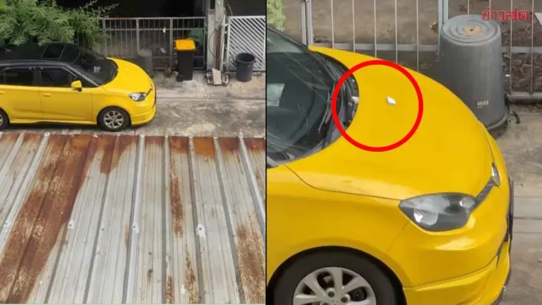 Woman's Car Hit By Falling Debris, Seeks Neighbor's Liability