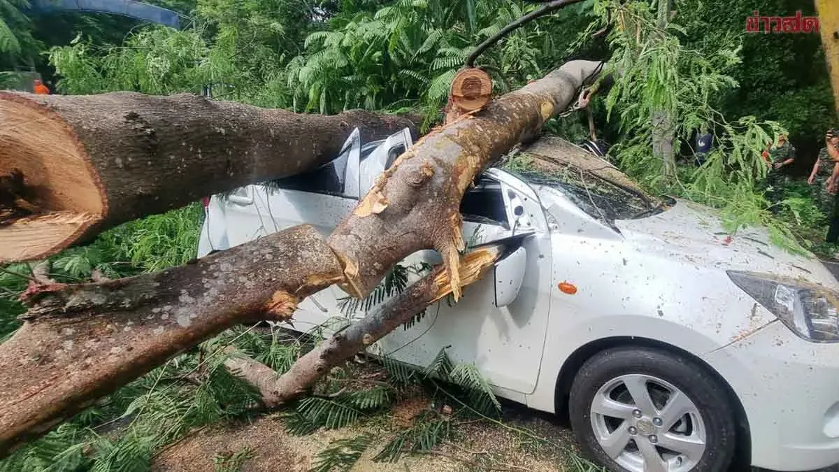 Fallen Tree Limbs Crush Golfer's Car in Ratchaburi