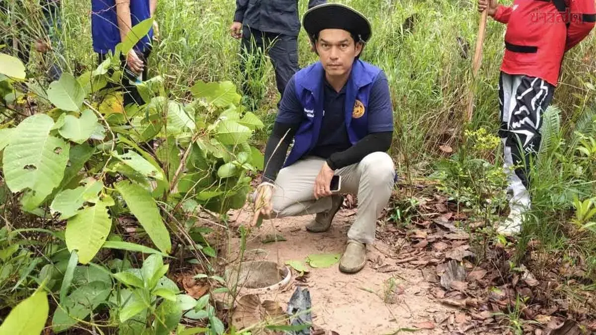 Officials Raid Protected Forest to Destroy Animal Traps Before Endangered Porcupines Face Extinction