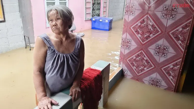 Heavy Rain Floods Ang Thong as Chao Phraya Rises