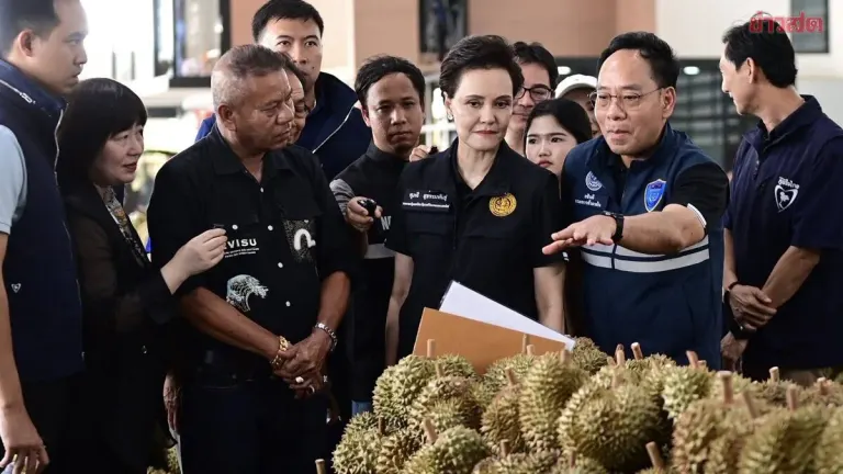 Supujai Clarifies Six Points on Durian Live-Commerce Drama, Forecasts 33% Higher Yield This Year