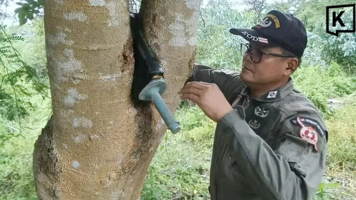 Anti-Tank Round Found in Tree at Buriram Wildlife Sanctuary