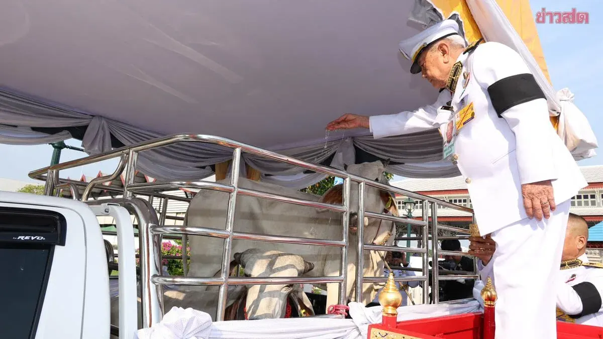 Royal Representative Performs Merit-Making Ceremony Releasing Livestock and Animals on Princess Tipangkornrasmi's Birthday