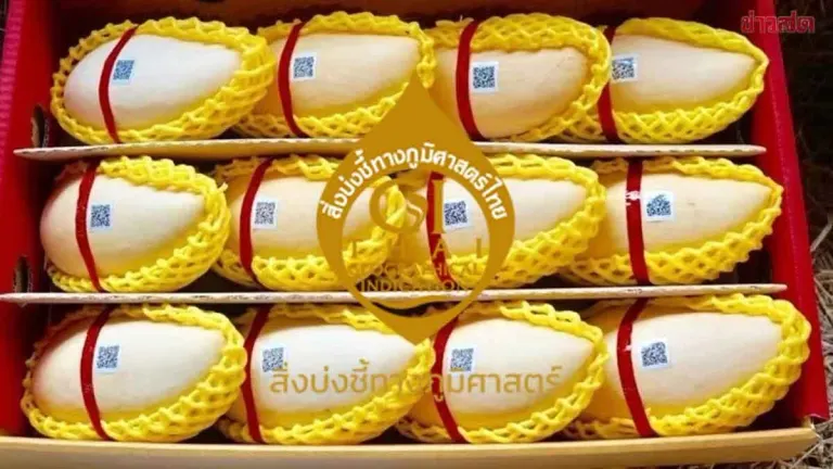 Thai GI Mangoes Rake In Over 1 Billion Baht
