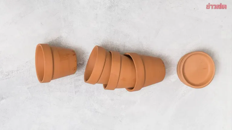 Health Experts Warn TikTok Trend of Eating Tiny Clay Pots May Pose Health Risks