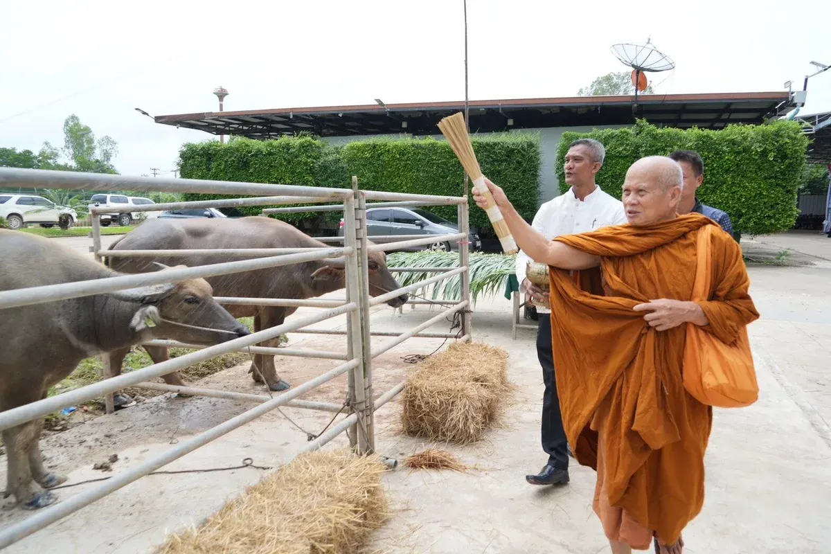 CP Foundation Launches Modern Buffalo Farm Program for Farmer Livelihoods