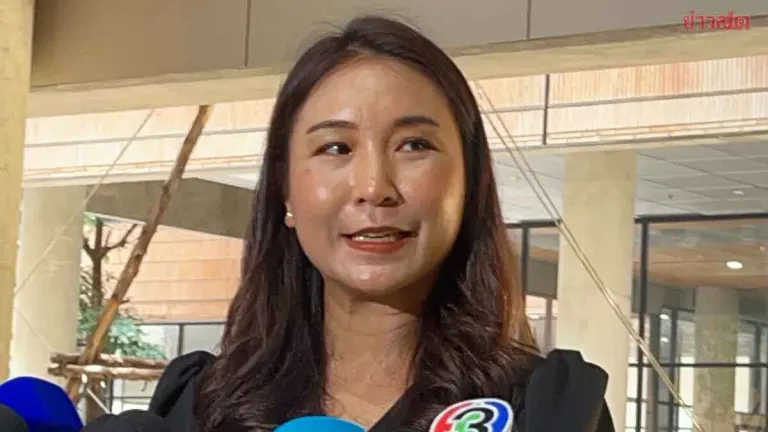 Pheu Thai Denies Coalition Collapse Rumors Amid Government Instability