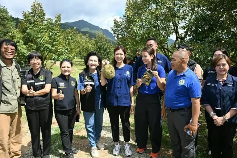 Pushing Lava Soil Durian to Become Chiang Rai's Pride: One-Day Agricultural Tourism Route Linking Khao Luang National Park