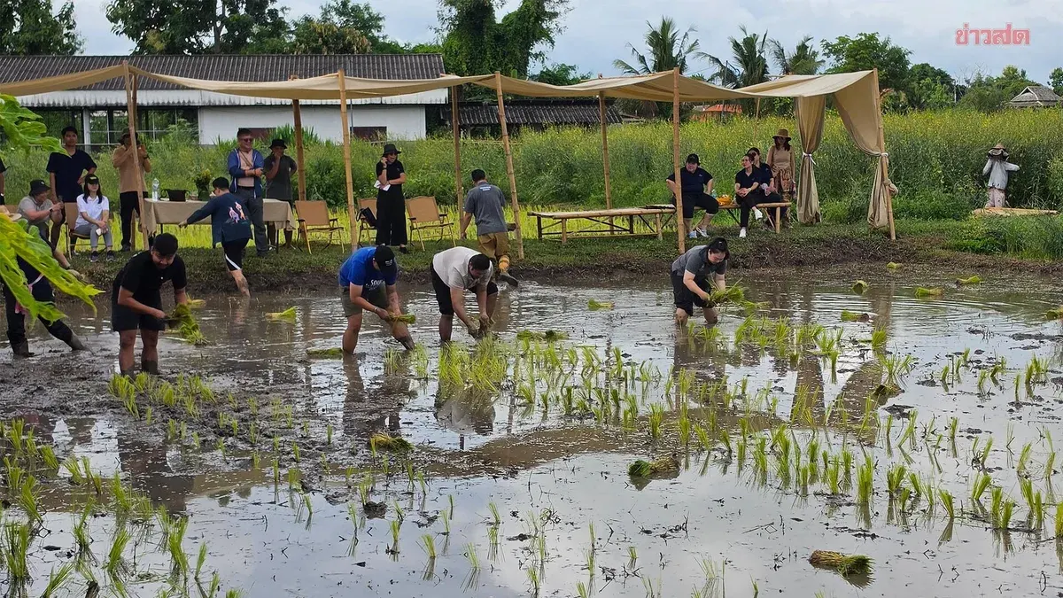 Chiang Mai Chefs Connect With Farmers in Farm-to-Table Initiative