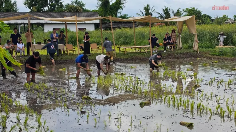 Chiang Mai Chefs Connect With Farmers in Farm-to-Table Initiative