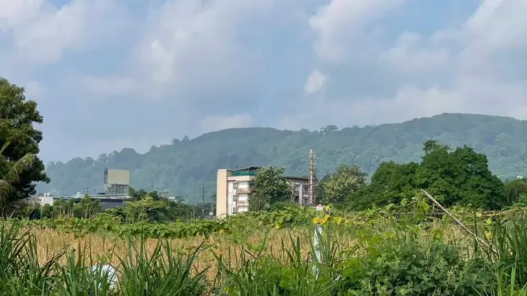 Phuket TAC Warns Tourists of Unhealthy Air Quality