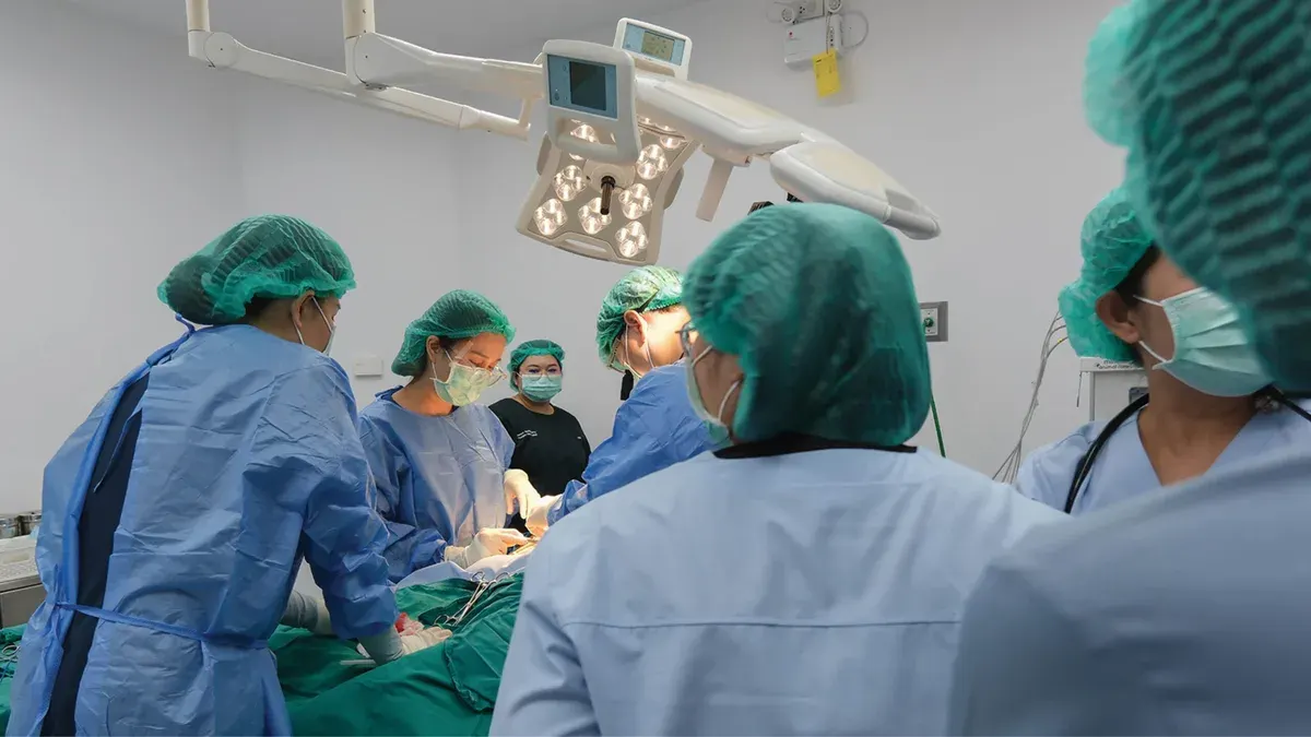 Veterinary Team Saves Puppy's Life With Heart Surgery