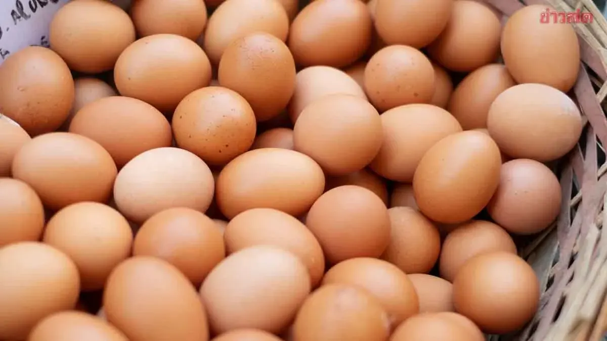 Egg Prices Climb Again to 4 Baht Per Unit