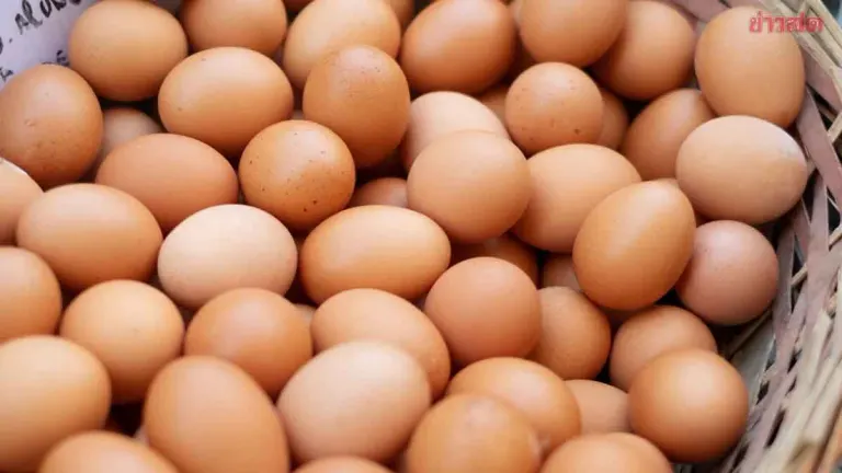 Egg Prices Climb Again to 4 Baht Per Unit