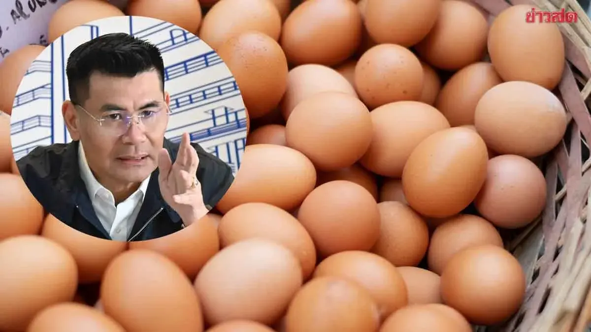 Thailand Halts Egg Exports to Boost Domestic Stocks Amid Floods