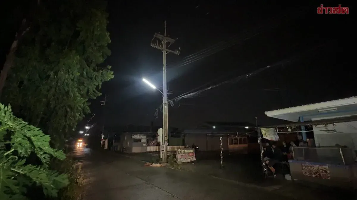 Three Dogs Killed by Live Power Line During Rainstorm