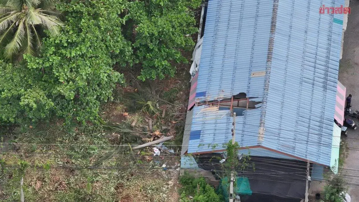 Falling Coconut Tree Crashes Through Roof, Injures Woman