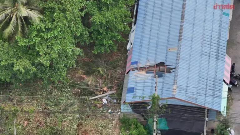 Falling Coconut Tree Crashes Through Roof, Injures Woman