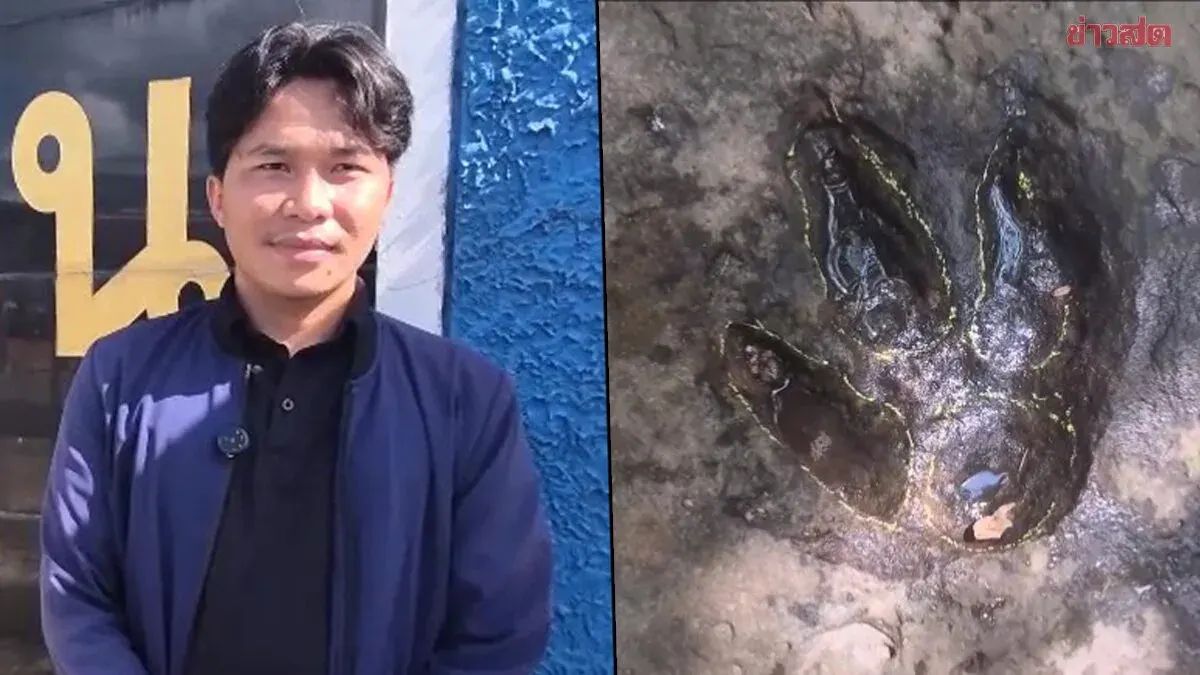 Udon Thani Official Discovers 120-Million-Year-Old Dinosaur Tracks