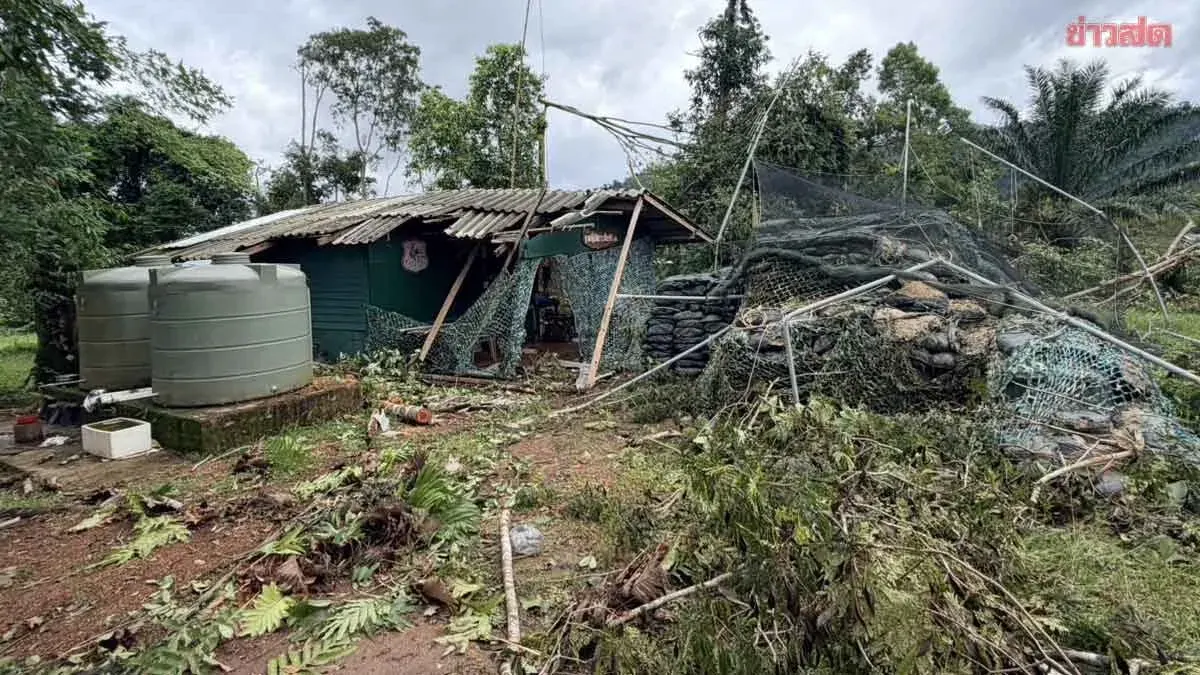 Storm Batters Thai Police Base in Trat, Felling Trees