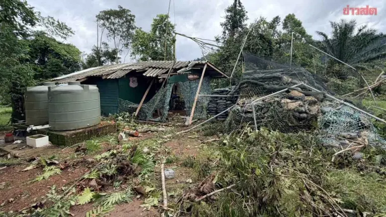 Storm Batters Thai Police Base in Trat, Felling Trees