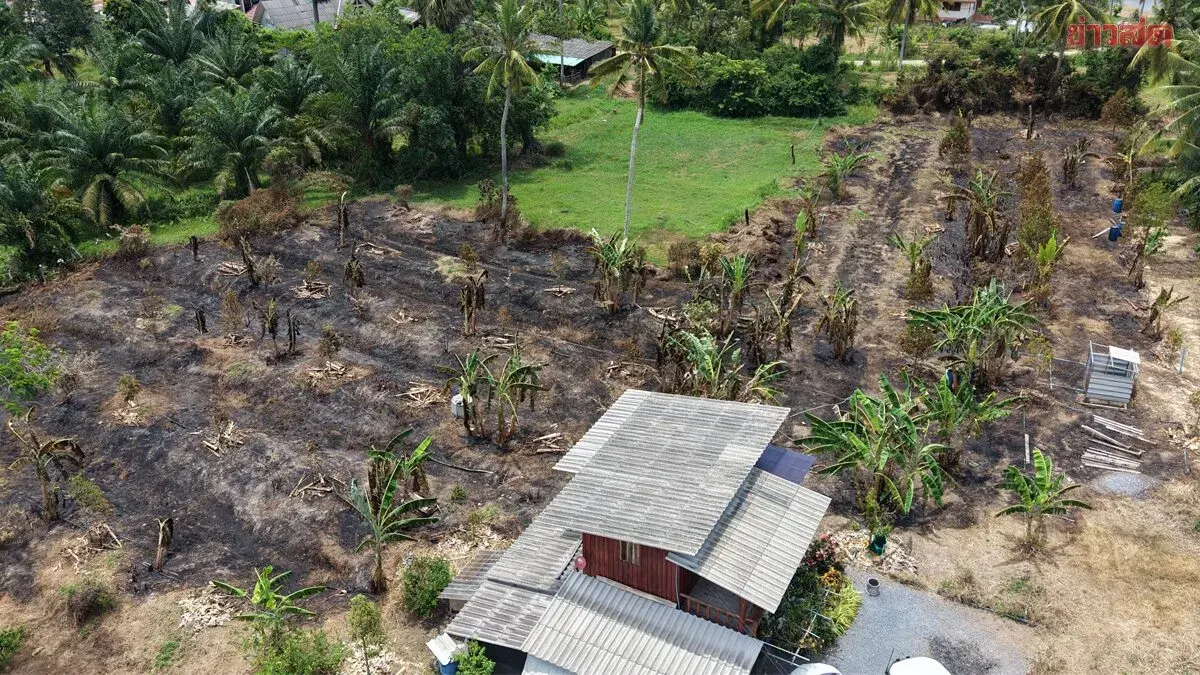 Durian Orchard Fire Destroys Crops Worth 300,000 Baht