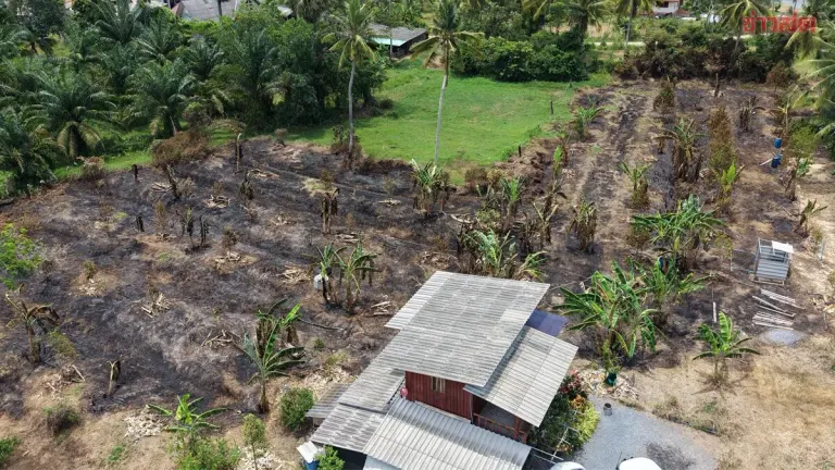 Durian Orchard Fire Destroys Crops Worth 300,000 Baht
